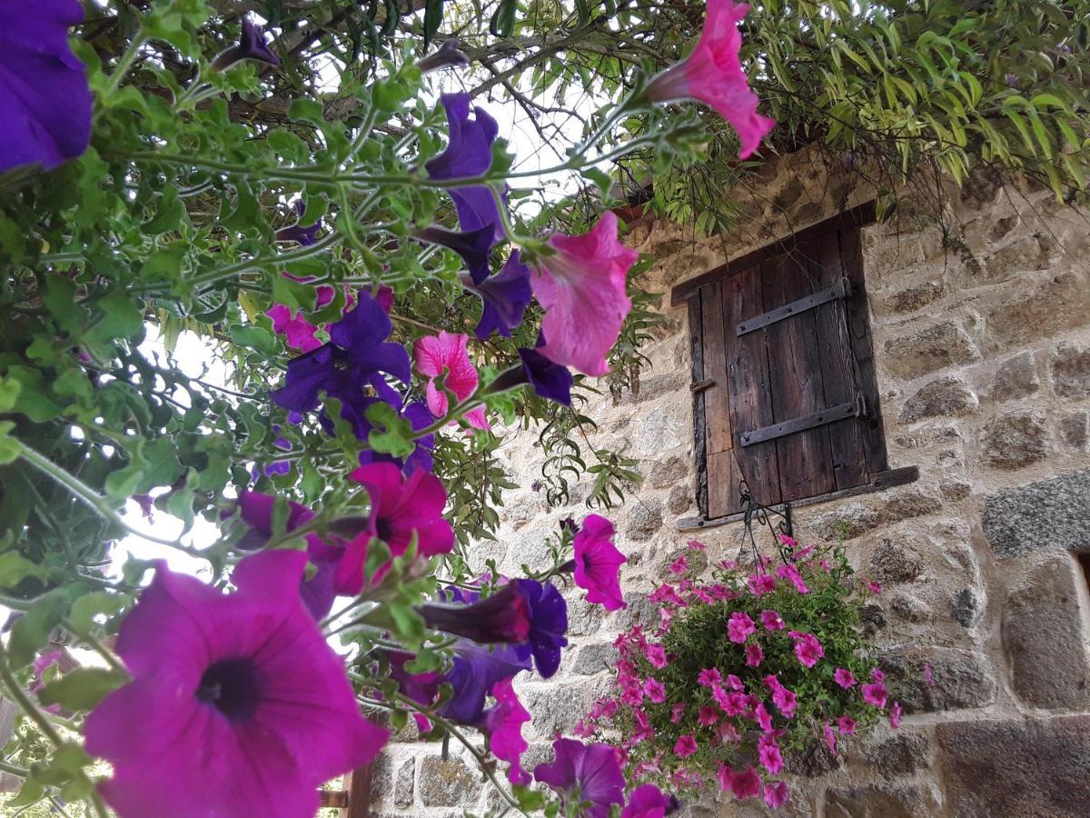 La Belle Ame Bed & Breakfast Saint-Priest-des-Champs Luaran gambar