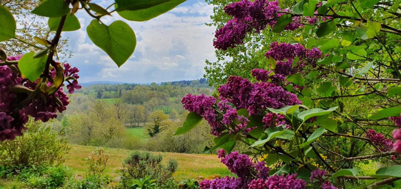 La Belle Ame Bed & Breakfast Saint-Priest-des-Champs Luaran gambar